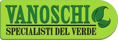 Vanoschi